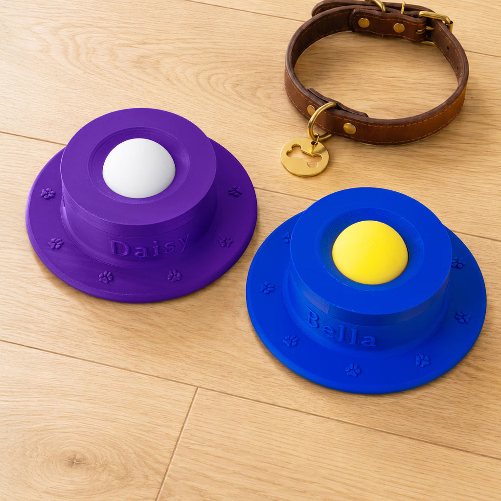 Non-Slip Slow Feeder Bowl