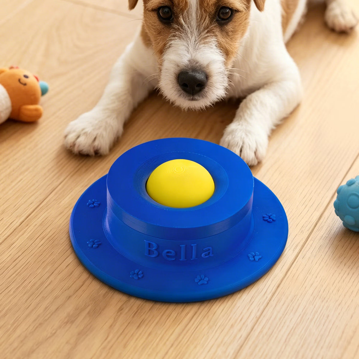Non-Slip Slow Feeder Bowl