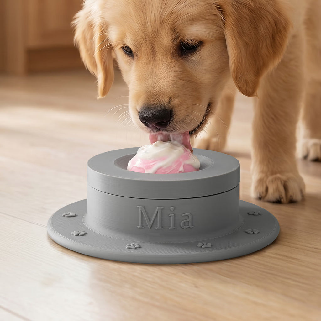 Non-Slip Slow Feeder Bowl