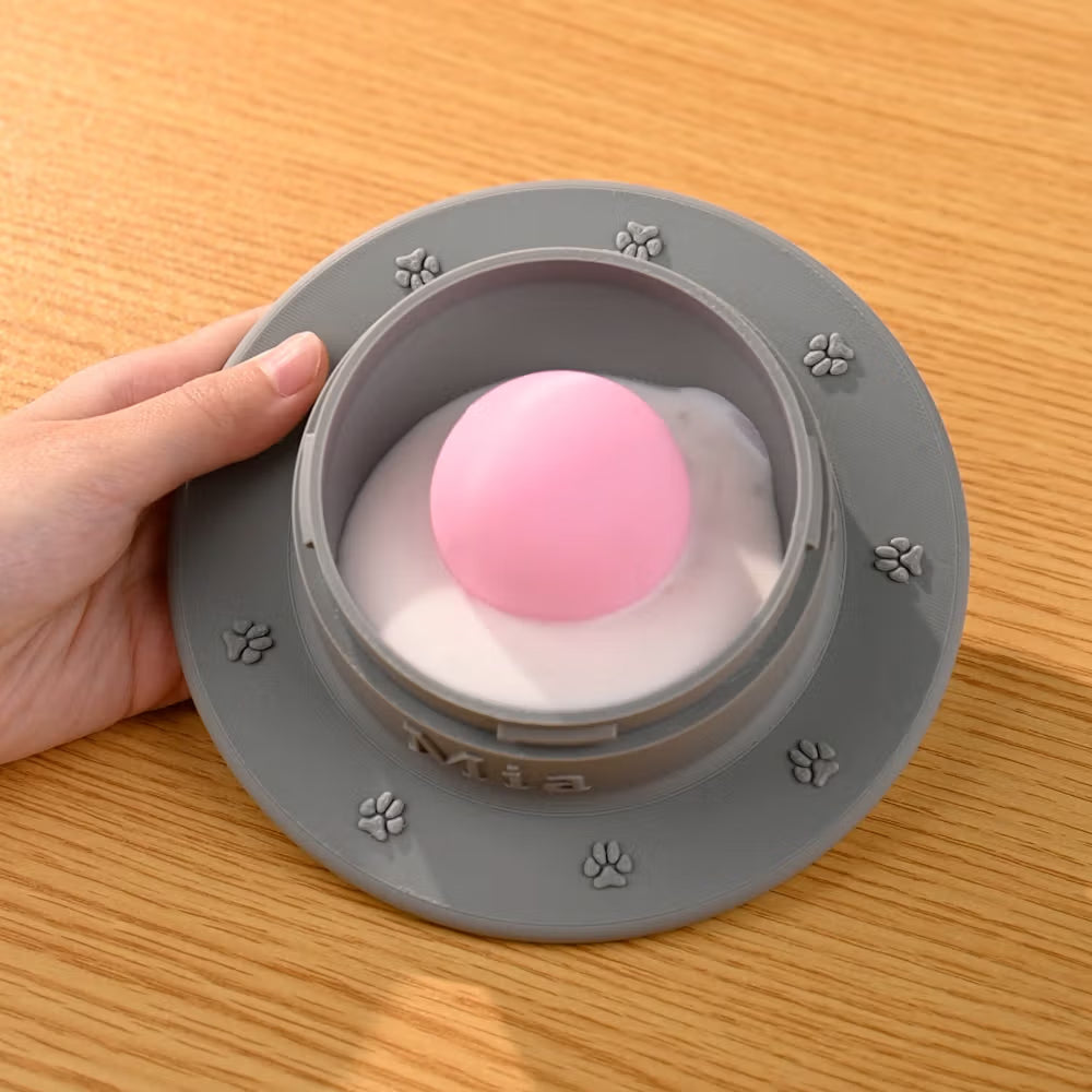 Non-Slip Slow Feeder Bowl