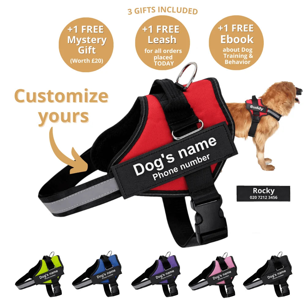 No-Pull Adjustable Dog Harness