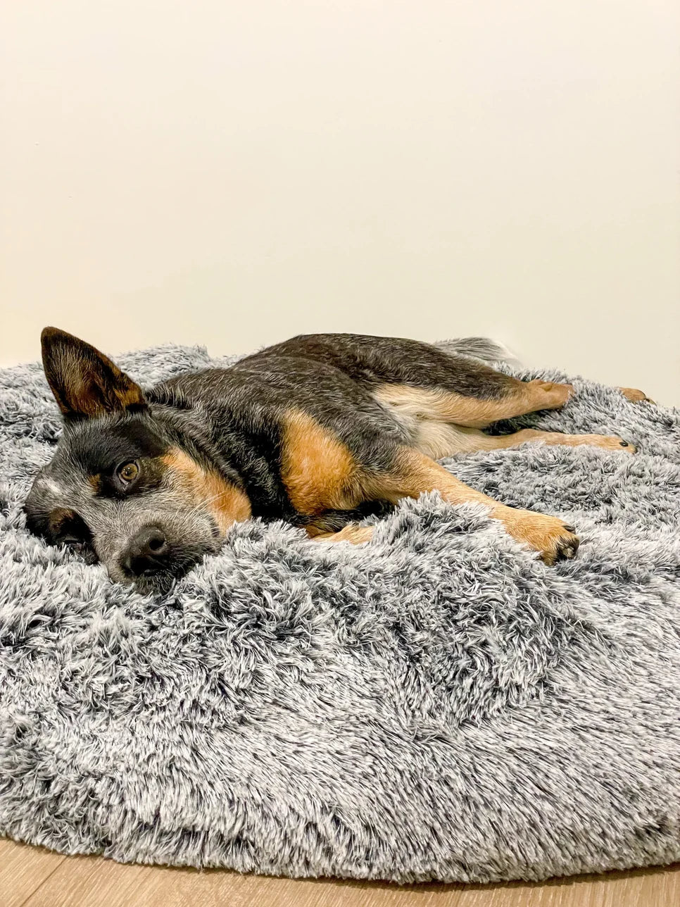 Calming Donut Pet Bed